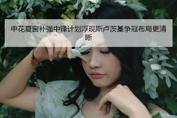 申花夏窗补强中锋计划浮现斯卢茨基争冠布局更清晰