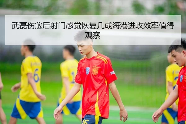 武磊伤愈后射门感觉恢复几成海港进攻效率值得观察