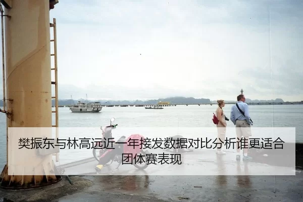 樊振东与林高远近一年接发数据对比分析谁更适合团体赛表现