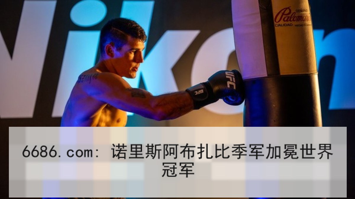 6686.com: 诺里斯阿布扎比季军加冕世界冠军