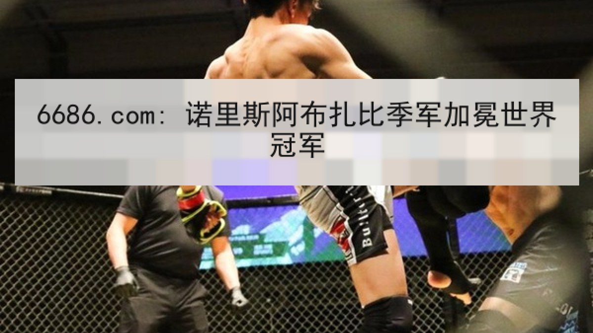 6686.com: 诺里斯阿布扎比季军加冕世界冠军