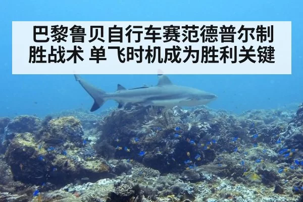 巴黎鲁贝自行车赛范德普尔制胜战术 单飞时机成为胜利关键（6686.com）